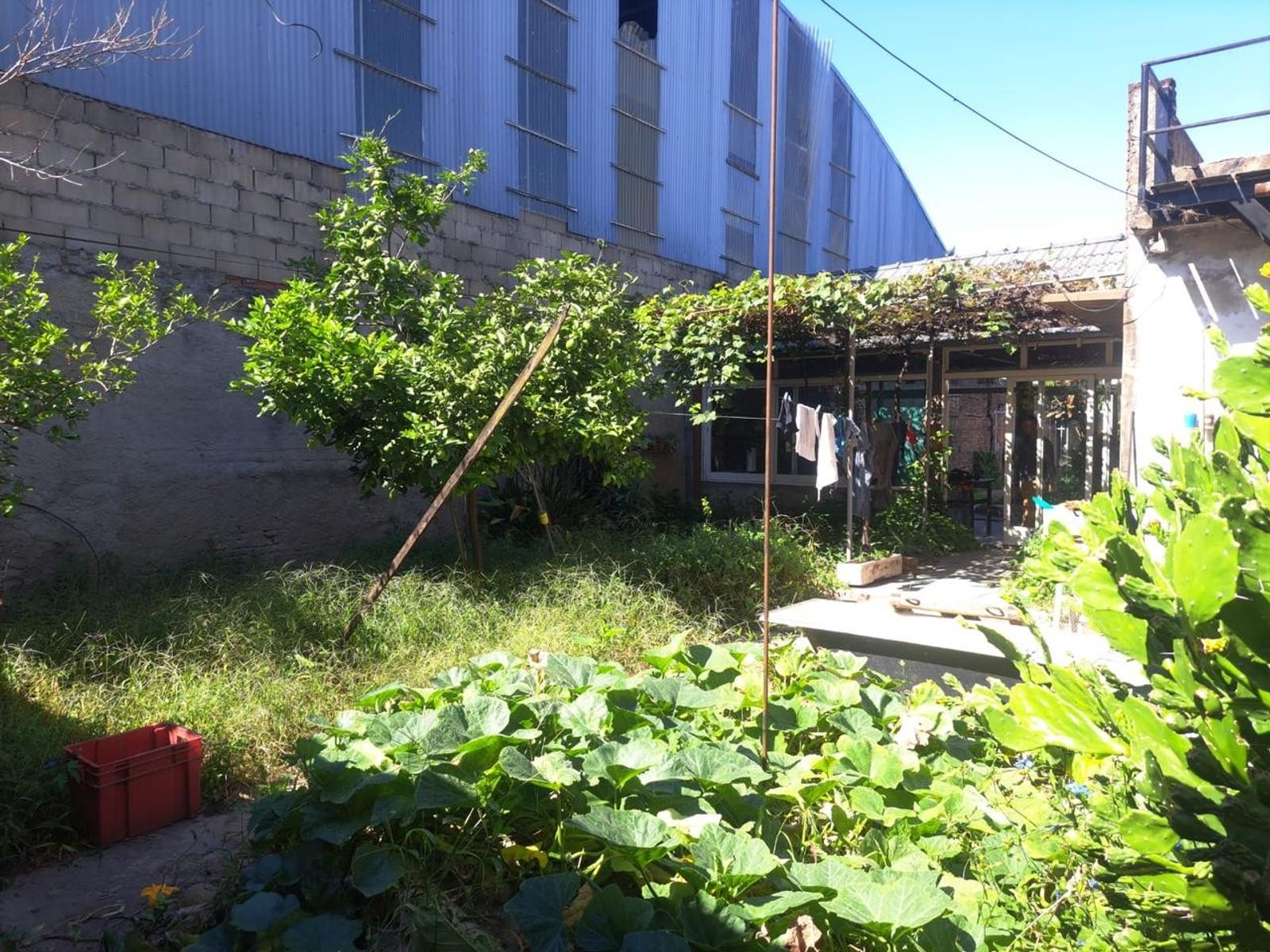 Casa en Gran Lote Atrás — foto 8