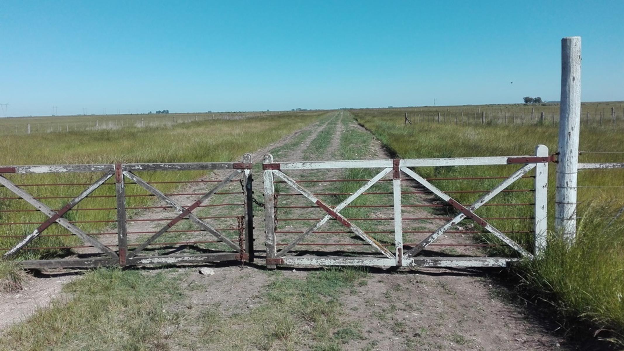 VENDO CAMPO 1300 HAS OLAVARRIA GANADERO - 1