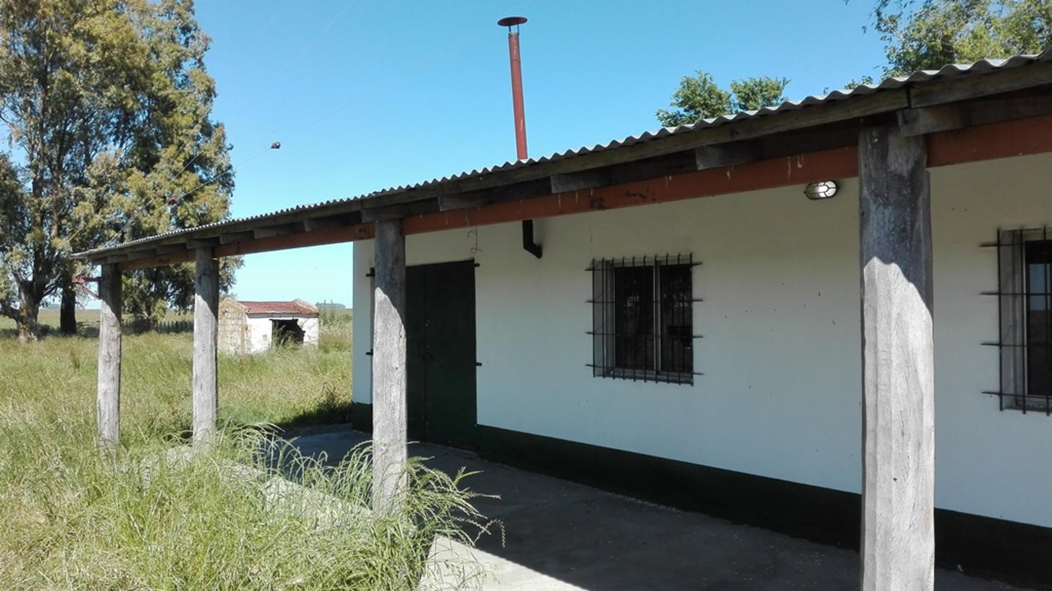 VENDO CAMPO 1300 HAS OLAVARRIA GANADERO - 3