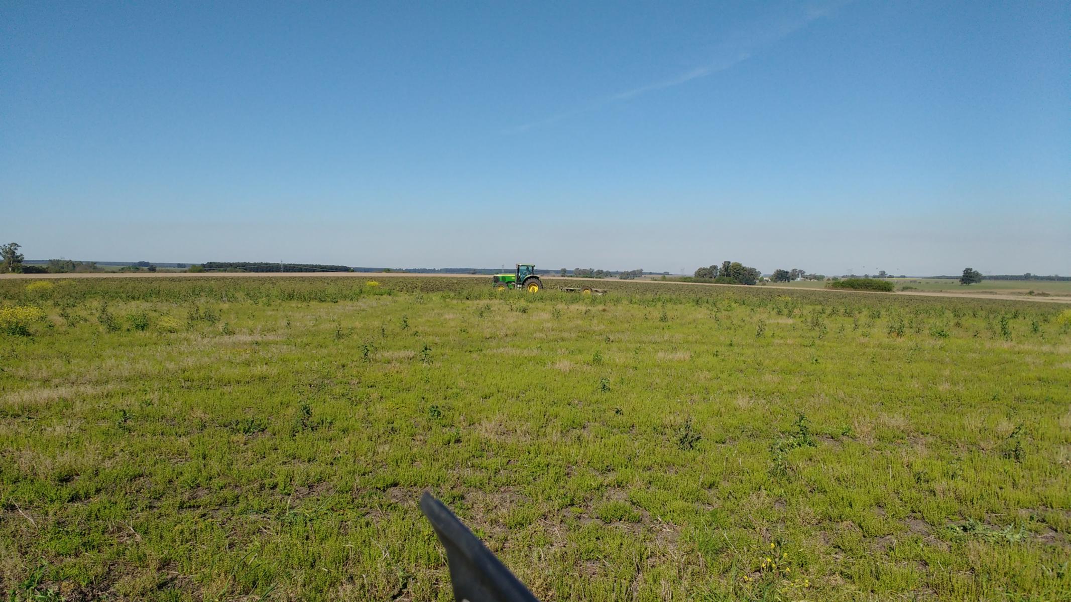 VENDO CAMPO DE 139 HAS AGRICOLAS - 3