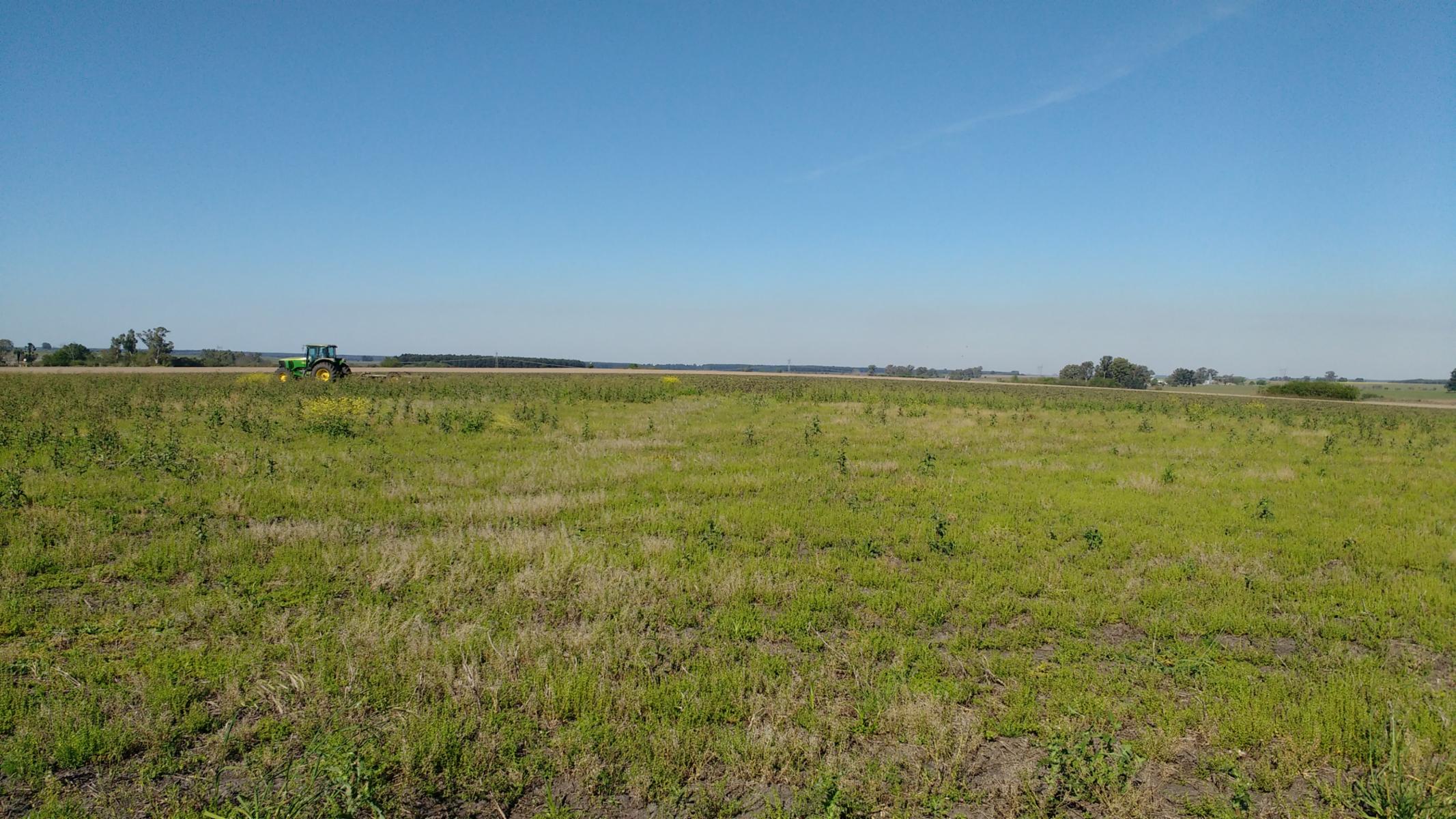 VENDO CAMPO DE 139 HAS AGRICOLAS - 4