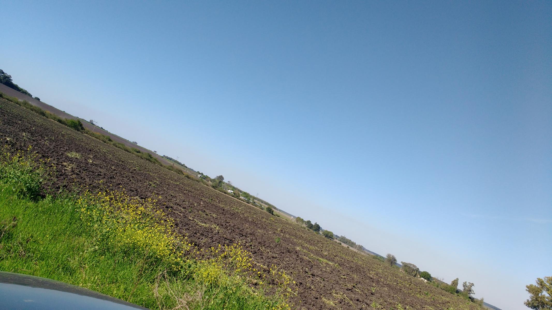 VENDO CAMPO DE 139 HAS AGRICOLAS - 6