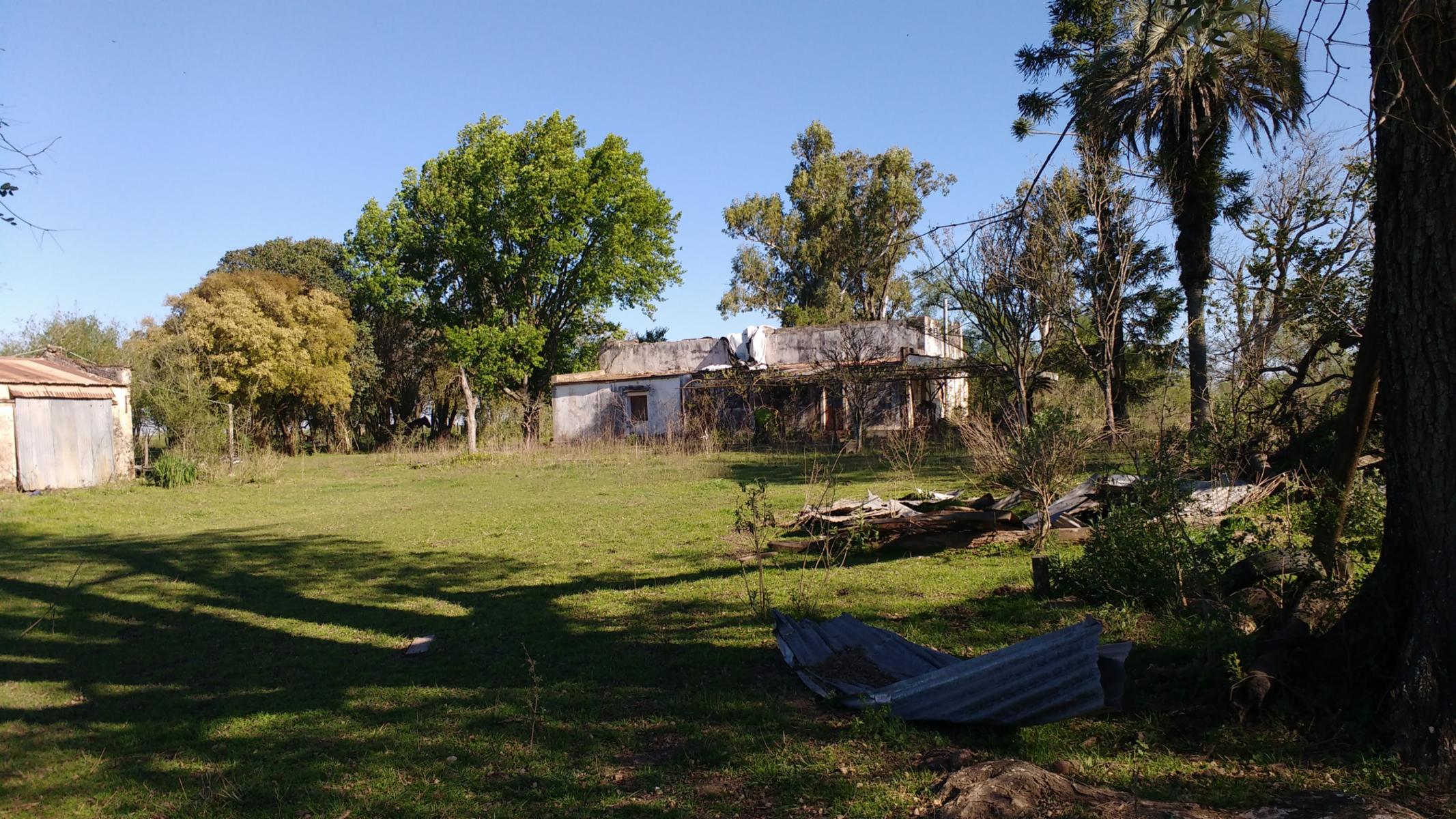 VENDO CAMPO DE 139 HAS AGRICOLAS - 7