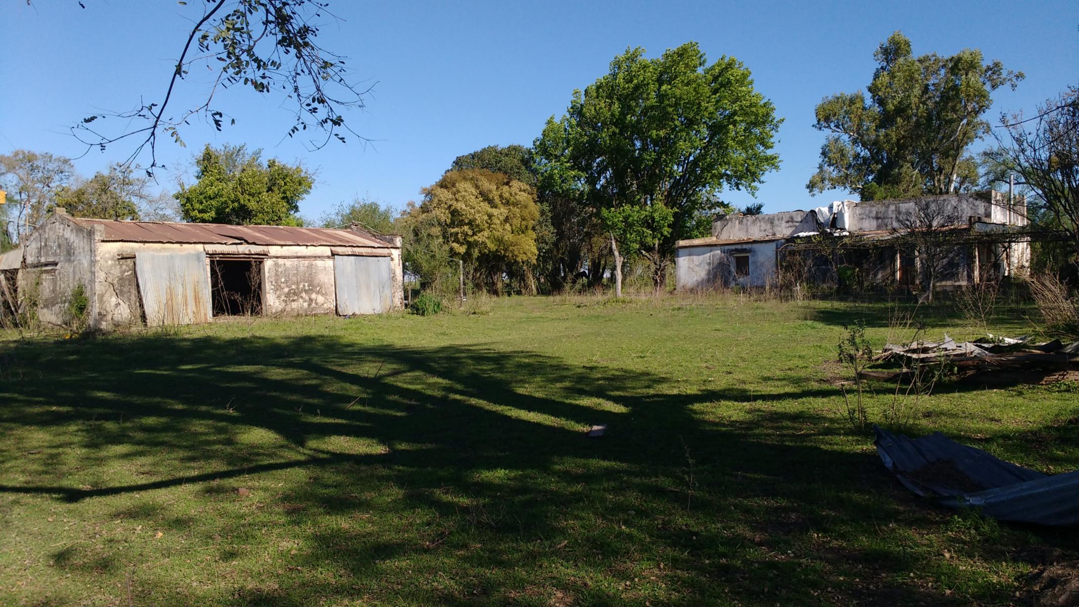 VENDO CAMPO DE 139 HAS AGRICOLAS - 8