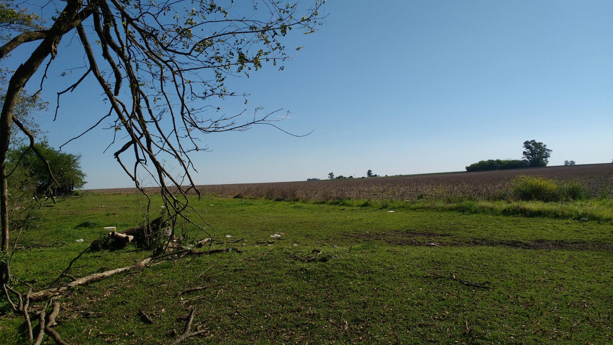 VENDO CAMPO DE 139 HAS AGRICOLAS - 9