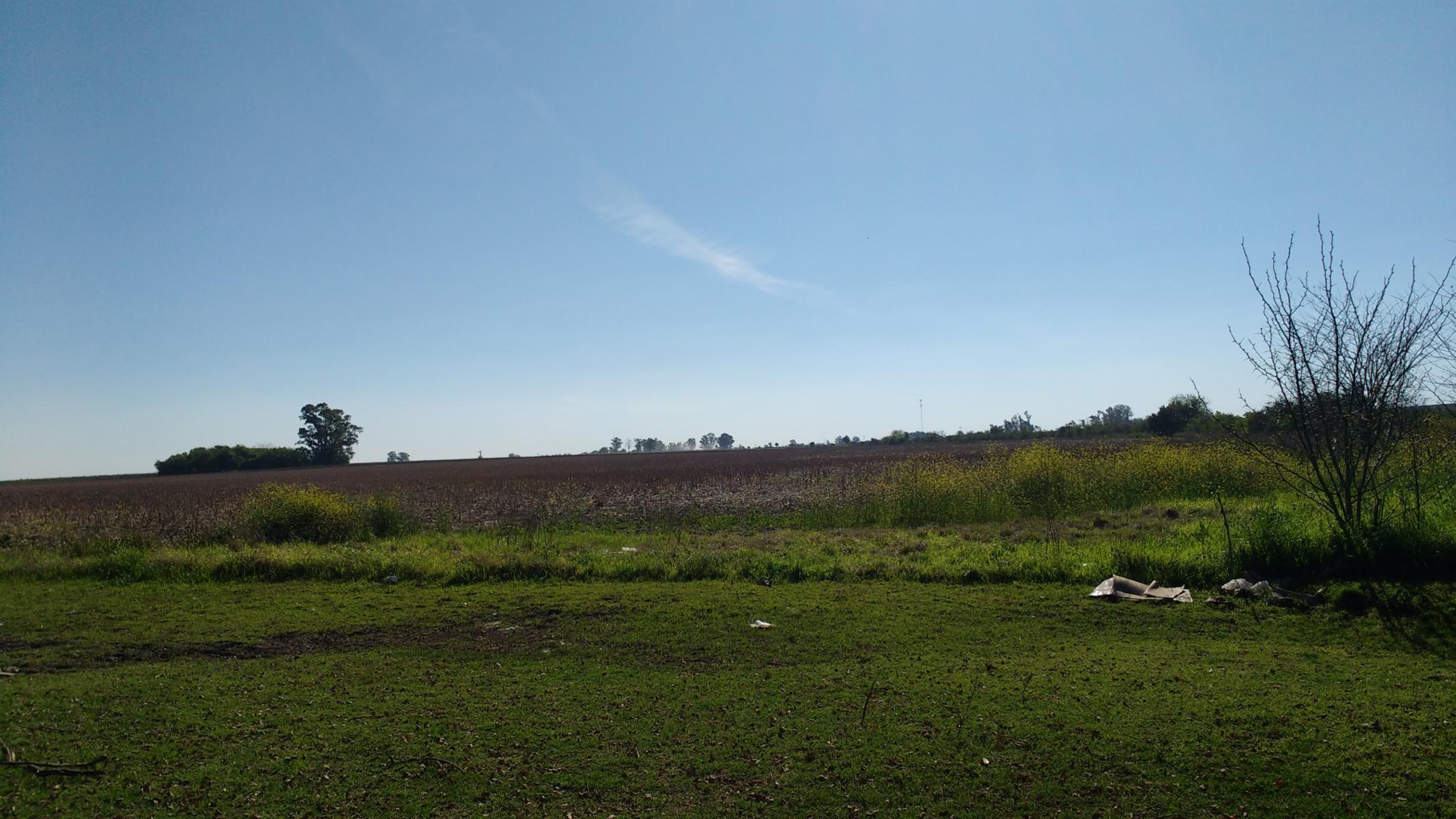 VENDO CAMPO DE 139 HAS AGRICOLAS - 10