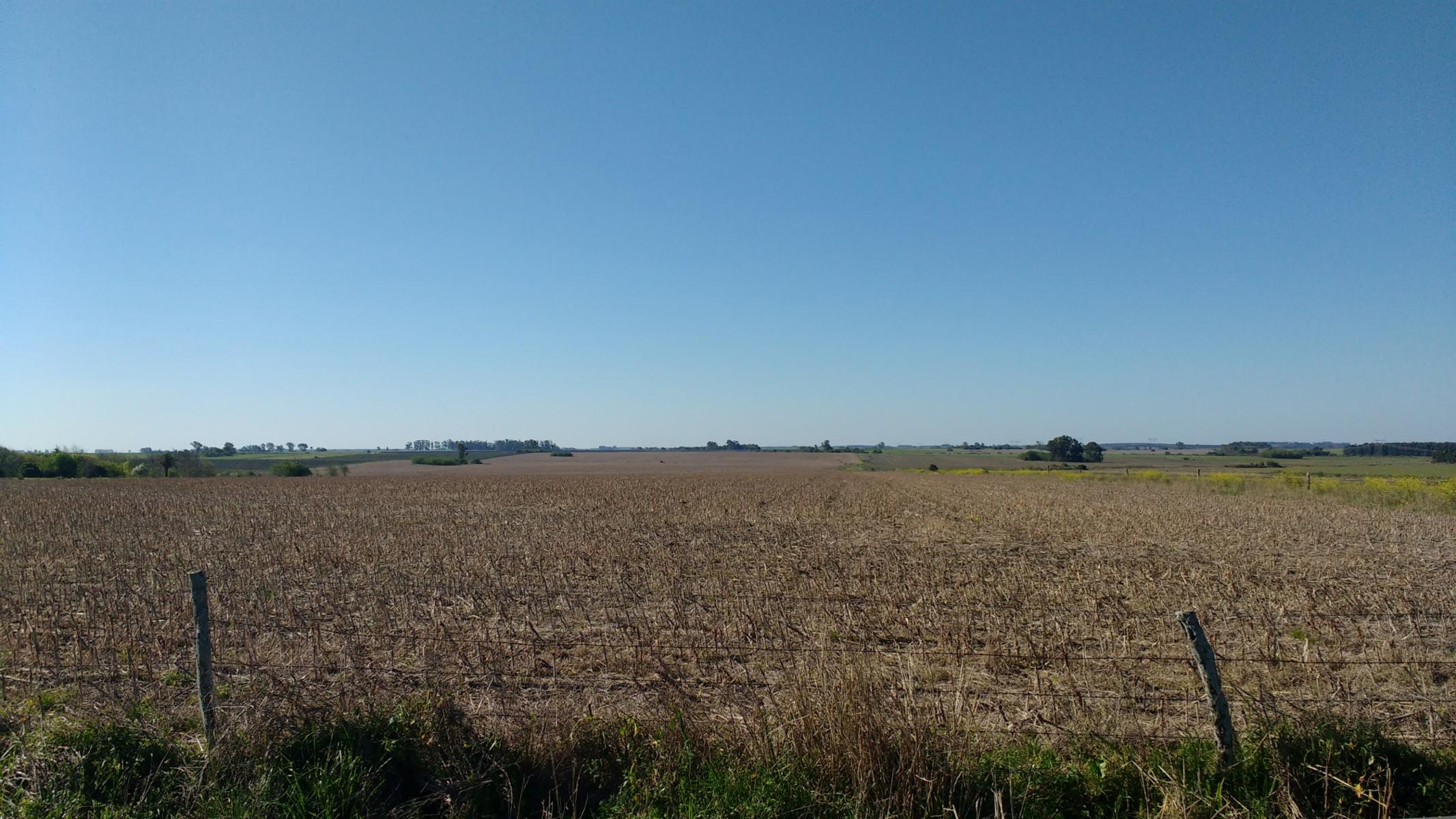 VENDO CAMPO DE 139 HAS AGRICOLAS - 11