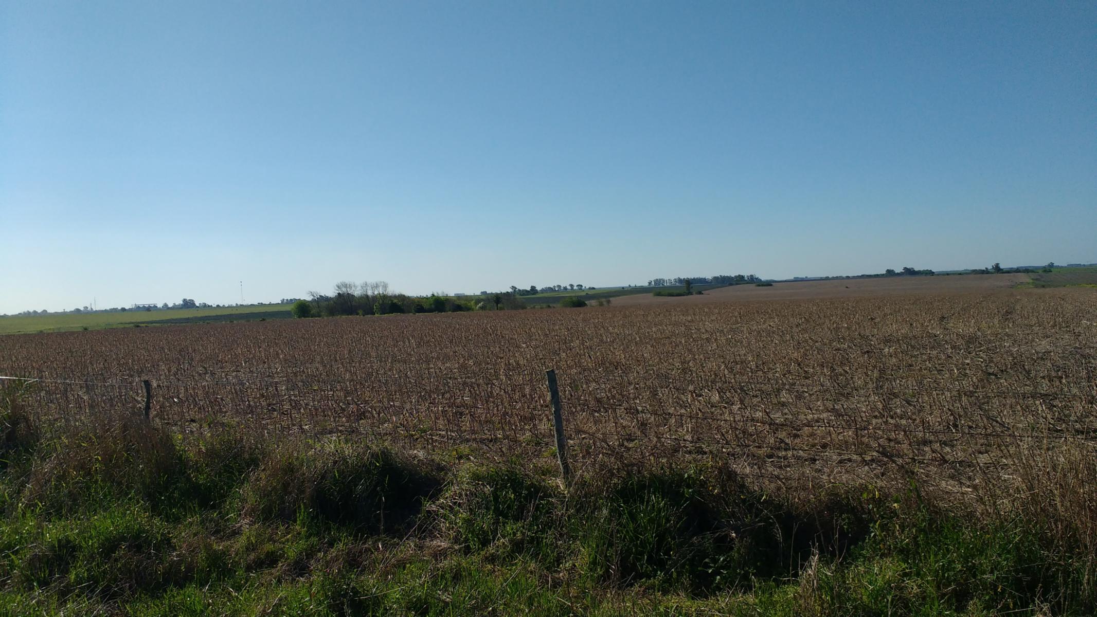 VENDO CAMPO DE 139 HAS AGRICOLAS - 12