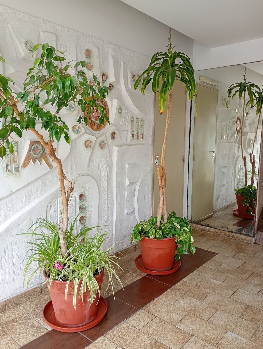 DEPARTAMENTO DE 4 AMBIENTES CON BALCON Y PATIO CUBIERTO EN FLORESTA — foto 2