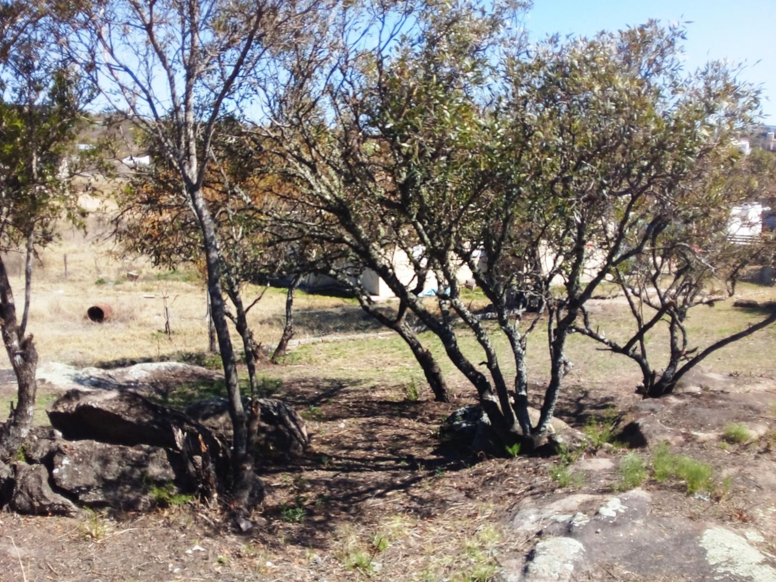 Lote TANTI, B° LA ESTANCIA — foto 7