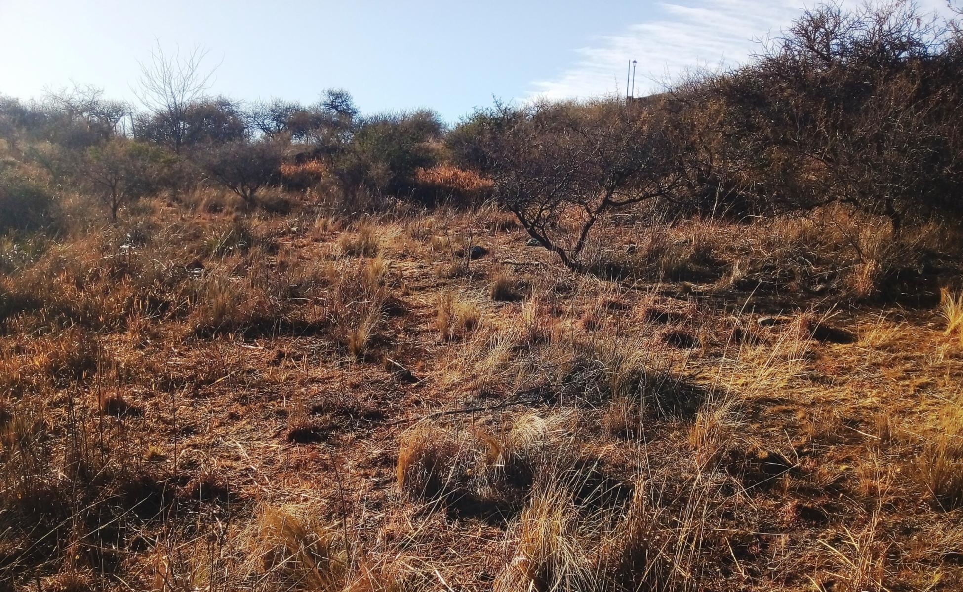 LOTE TANTI Calle SAN ROQUE, 889 m2 ESCRITURA Títulos perfectos, Plano de MENSURA Y SUBDIVISION