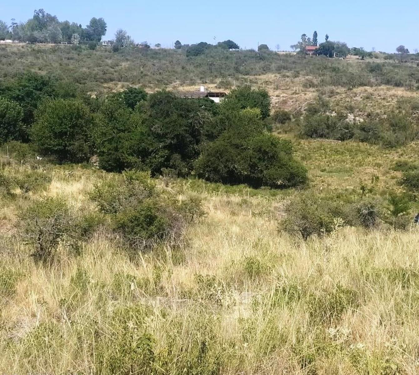 LOTE TANTI Calle SAN ROQUE, 889 m2 ESCRITURA Títulos perfectos, Plano de MENSURA Y SUBDIVISION — foto 5