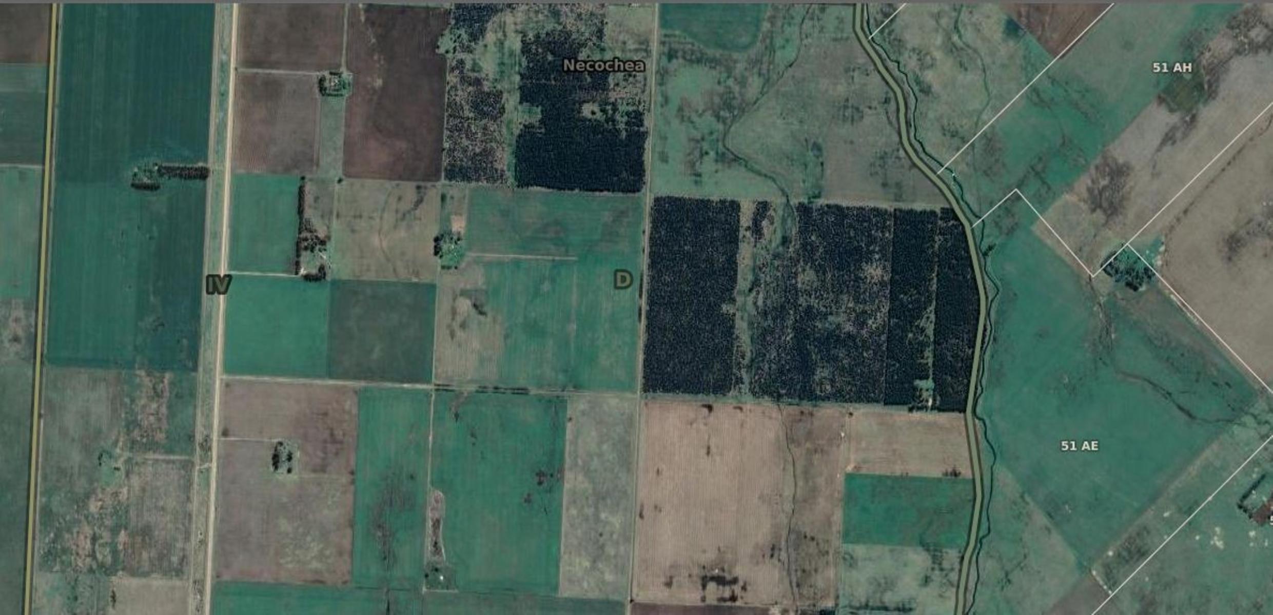 En Venta - Campo Forestal de 38.5 en Ramon Santamarina - 1