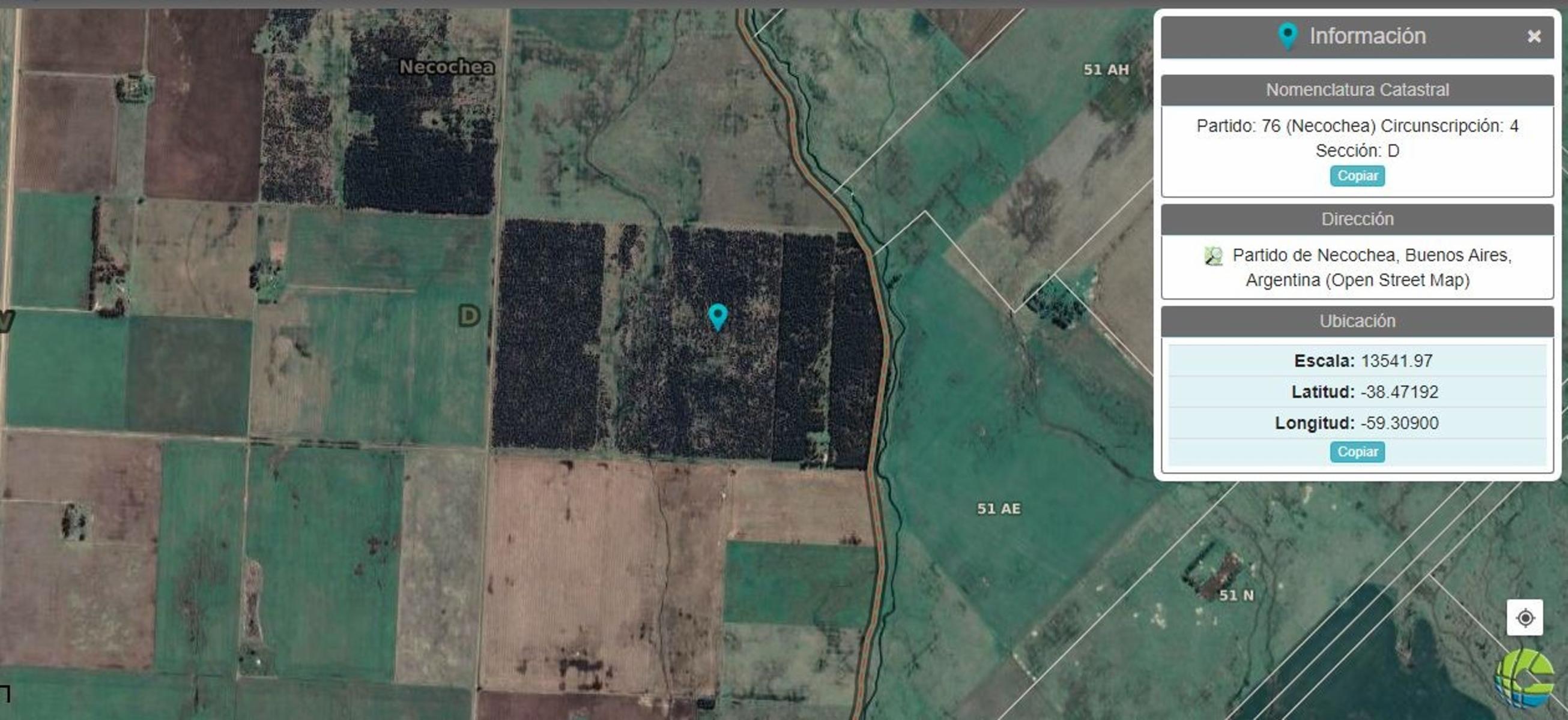 En Venta - Campo Forestal de 38.5 en Ramon Santamarina - 2