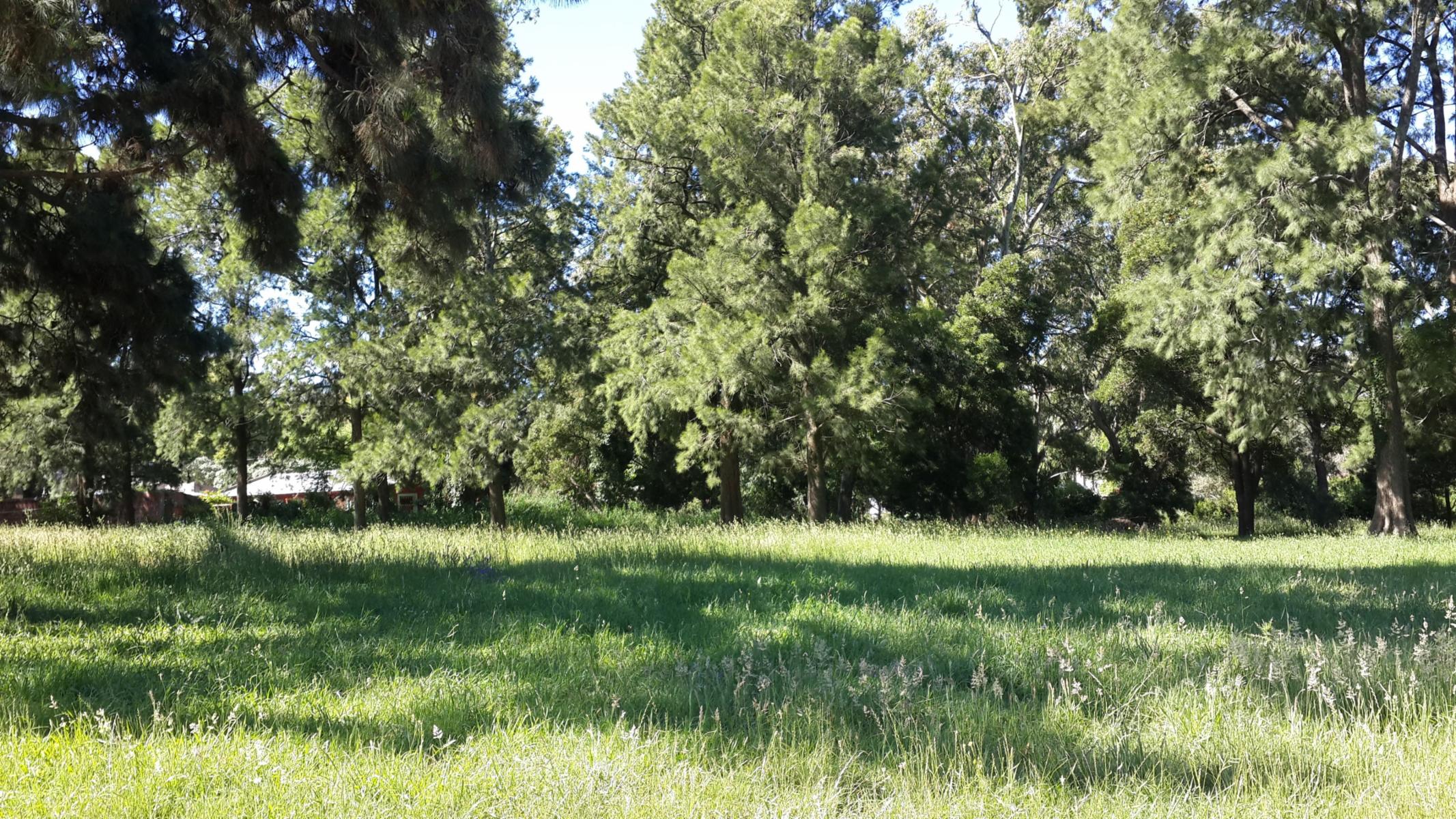 En Venta - Lotes a Valores Accesibles en El Barrio Santa Celina — foto 8