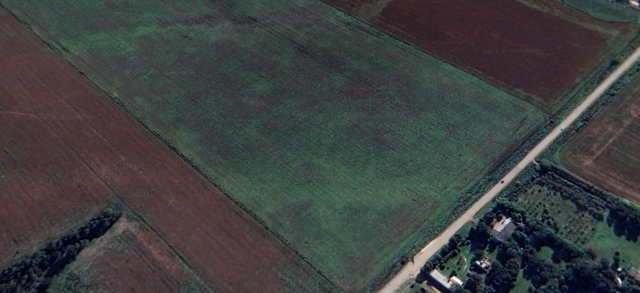 Campo Agricola de 49 Has Sobre Camino Viejo a Miramar — foto 4