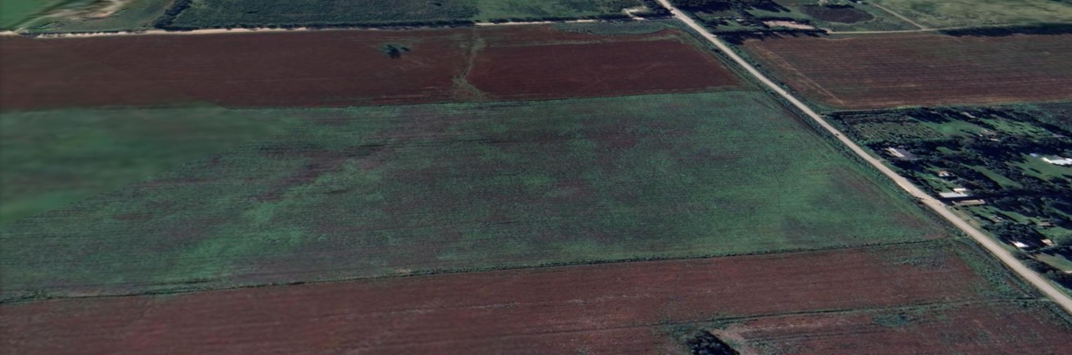 Campo Agricola de 49 Has Sobre Camino Viejo a Miramar — foto 5