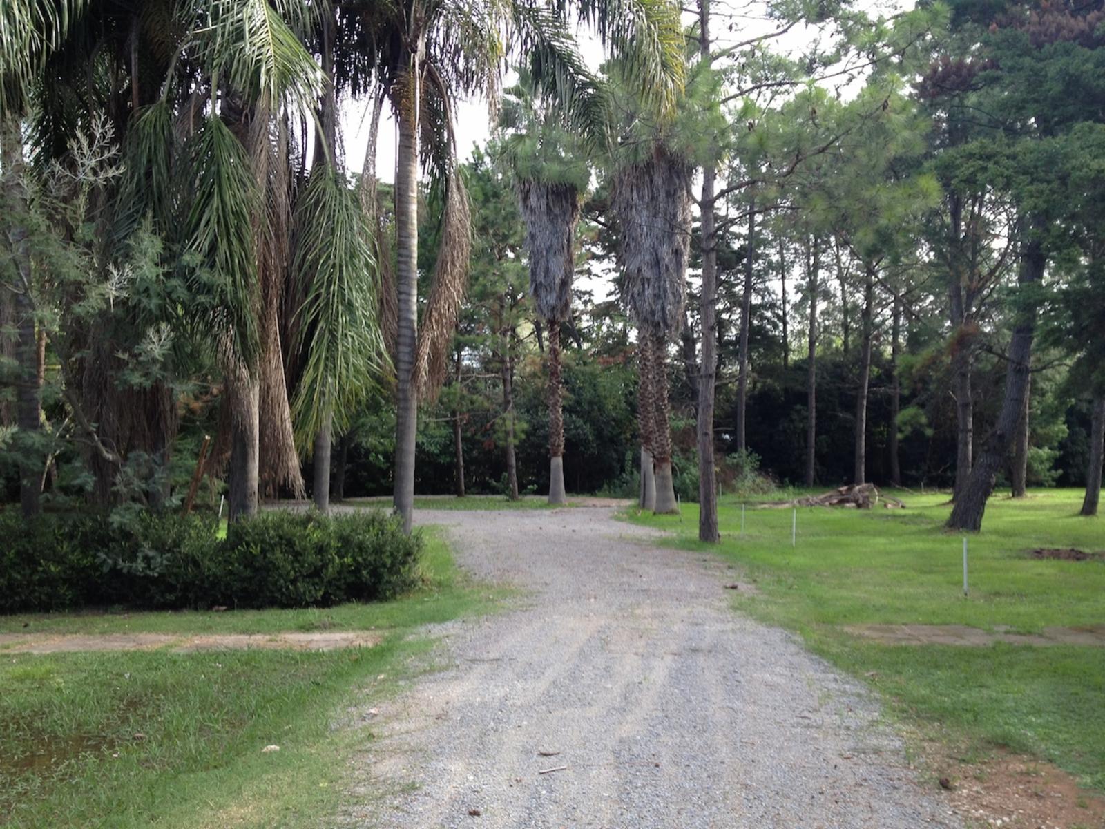 lote en san vicente exclusivo barrio cerrado - cerca canning - Altos de San Vicente — foto 5