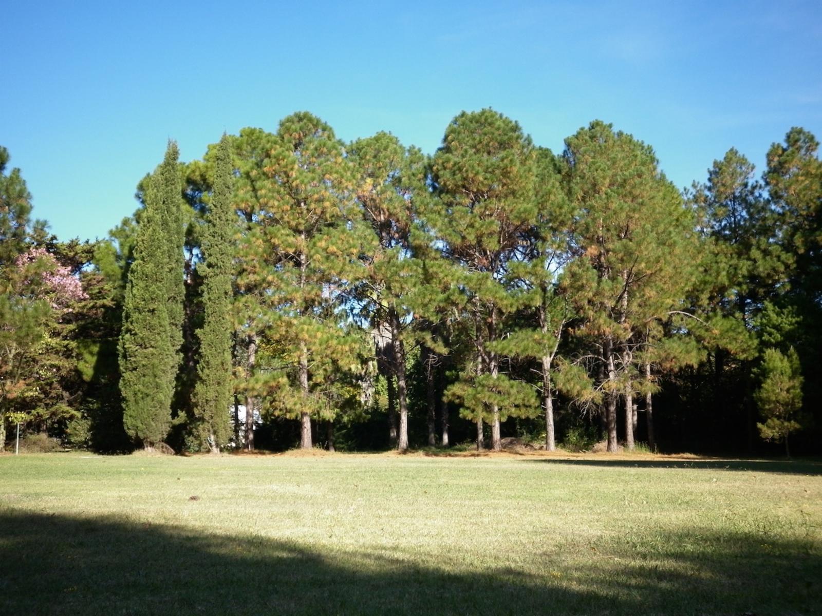 lote en san vicente exclusivo barrio cerrado - cerca canning - Altos de San Vicente — foto 10