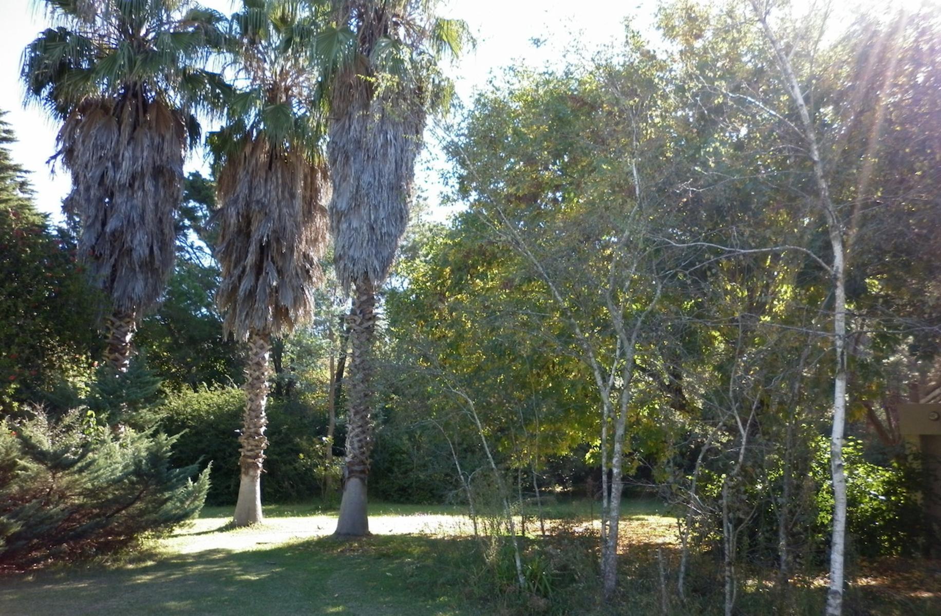 lote en san vicente exclusivo barrio cerrado - cerca canning - Altos de San Vicente — foto 5