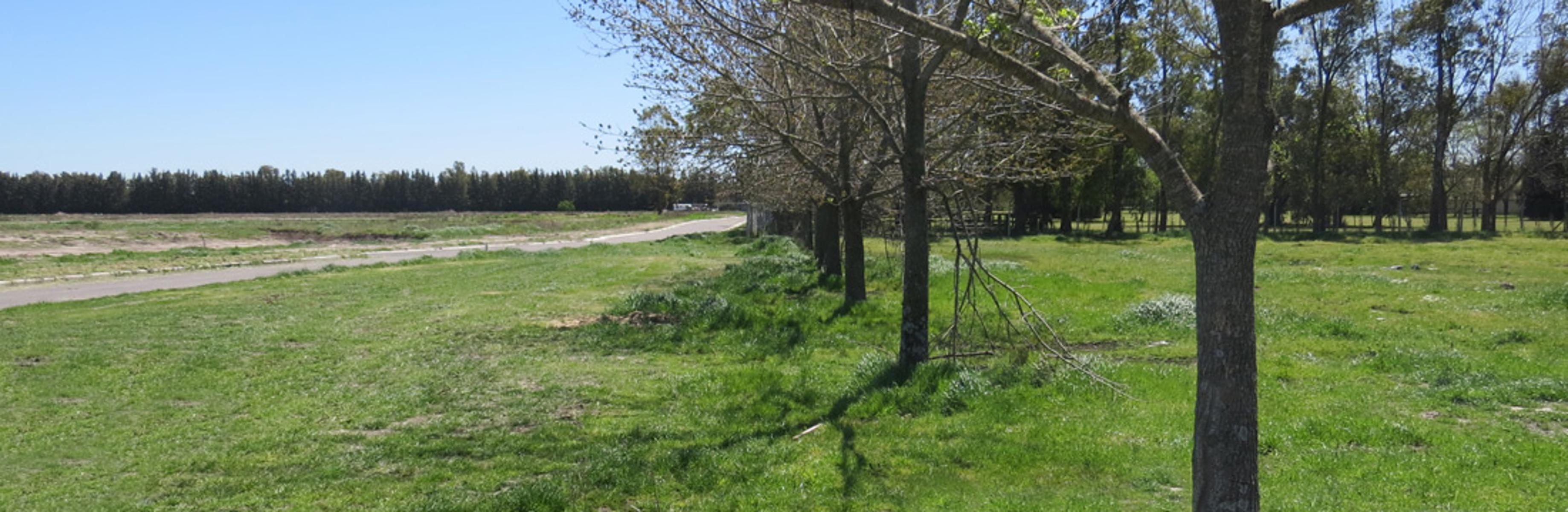 Lote en Canning Santa Ines — foto 4