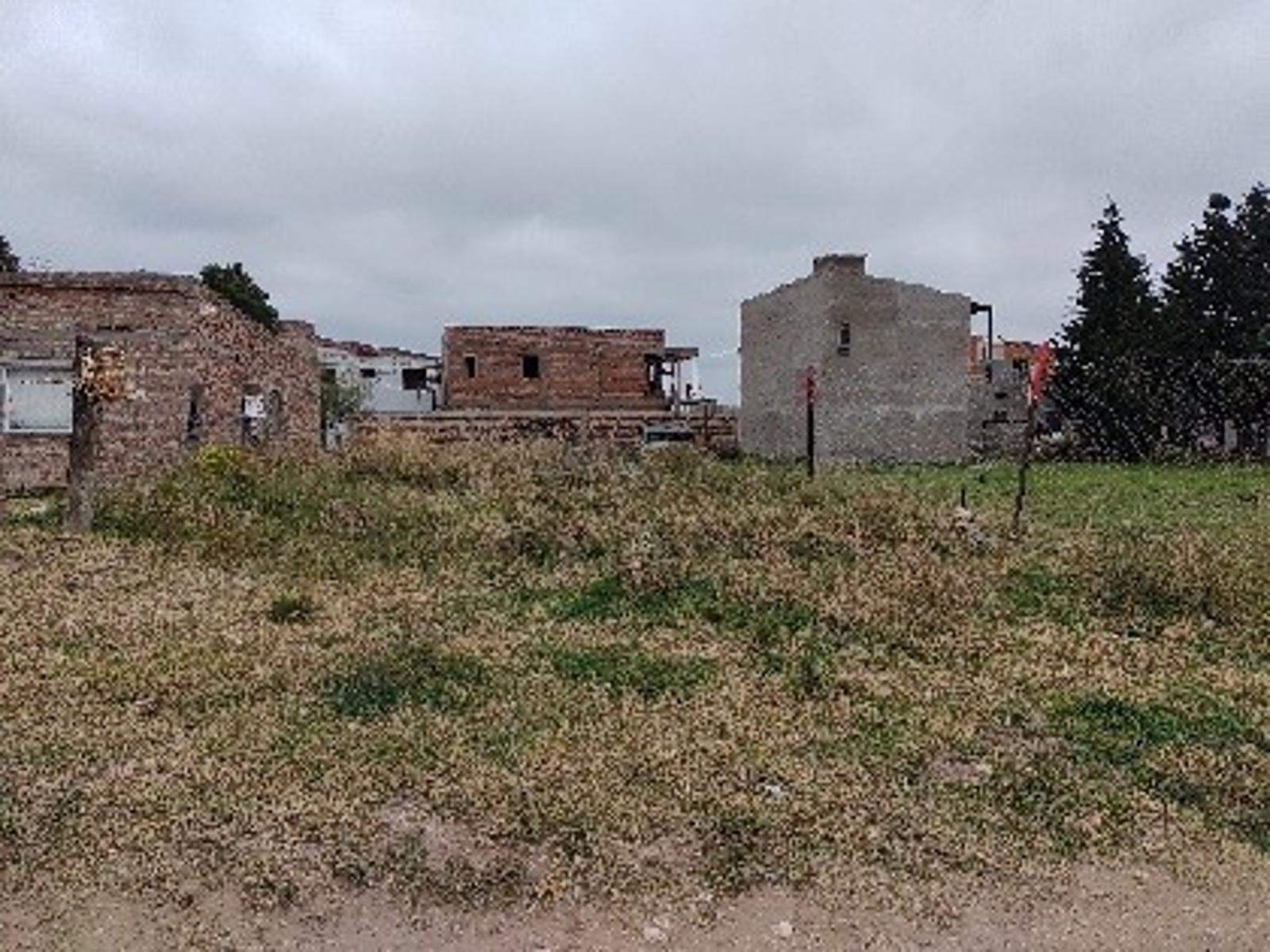 Lote en Villa Harding Green — foto 4