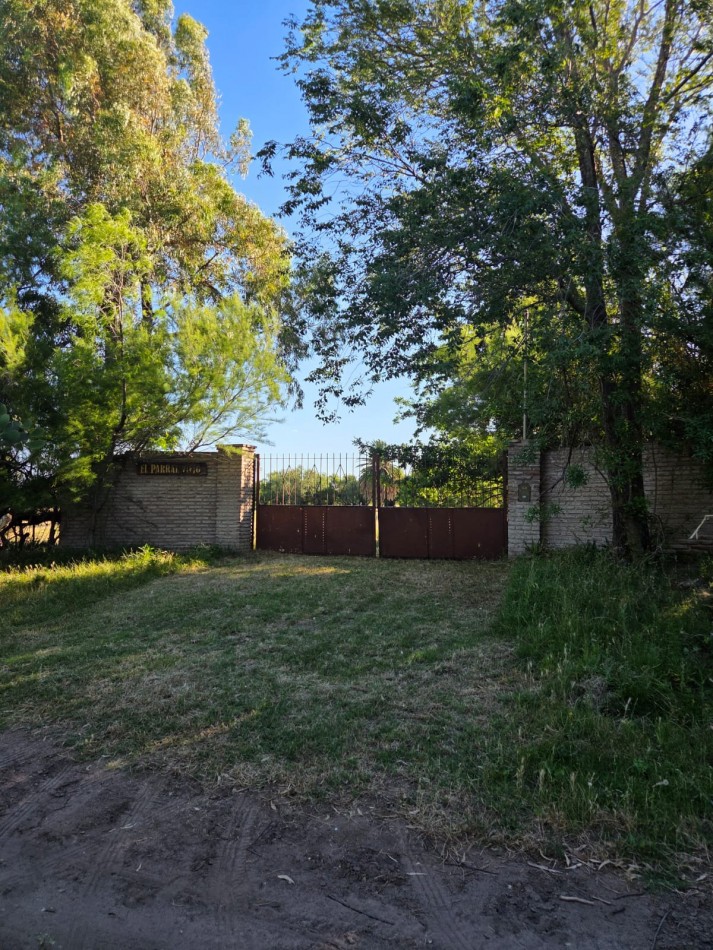 VENTA CASA QUINTA EN VILLA ARIAS - 1