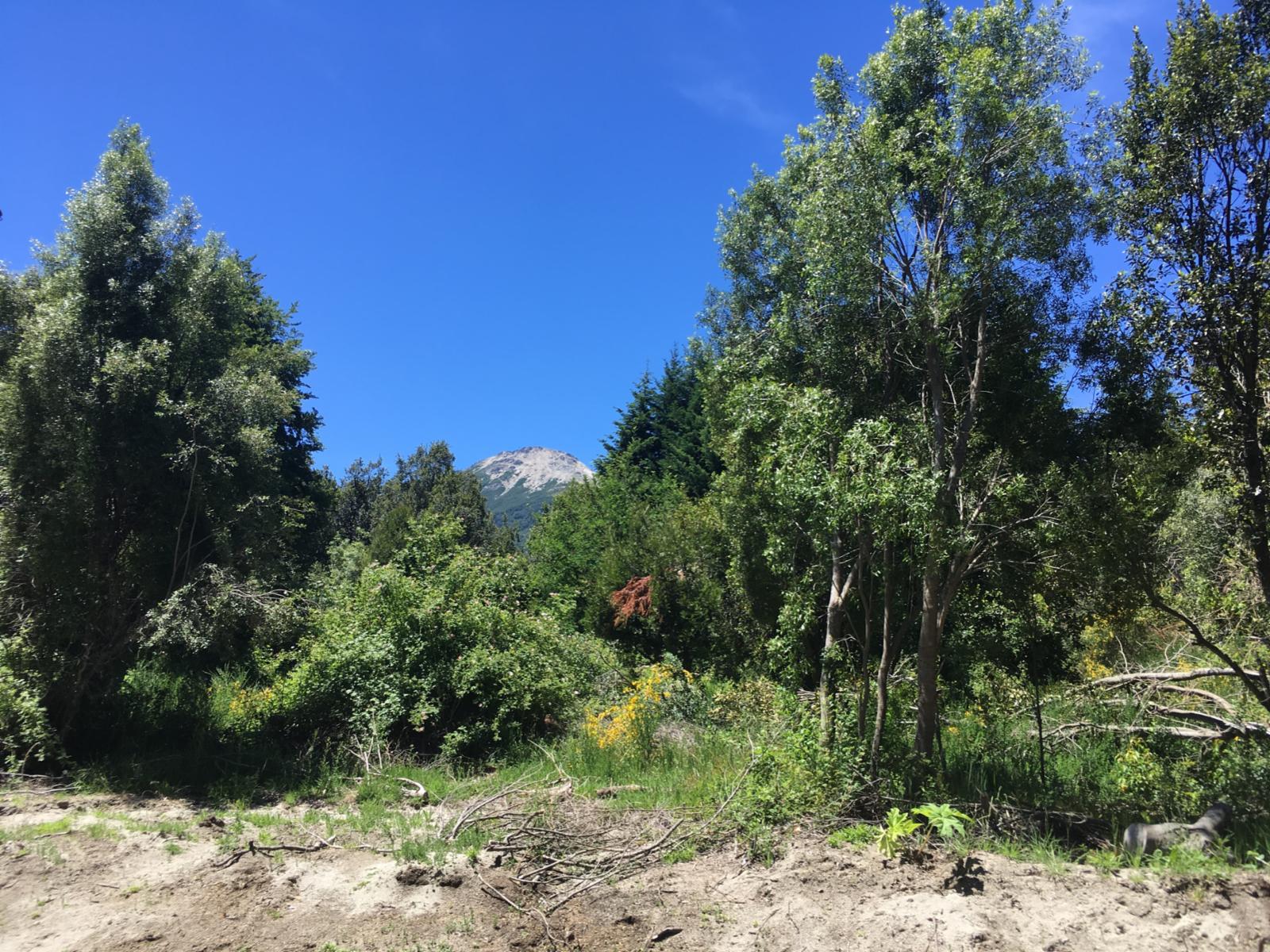 Lote en Tres Cerros Ruta 40 (Av. Siete Lagos) 994,66 m2 — foto 5