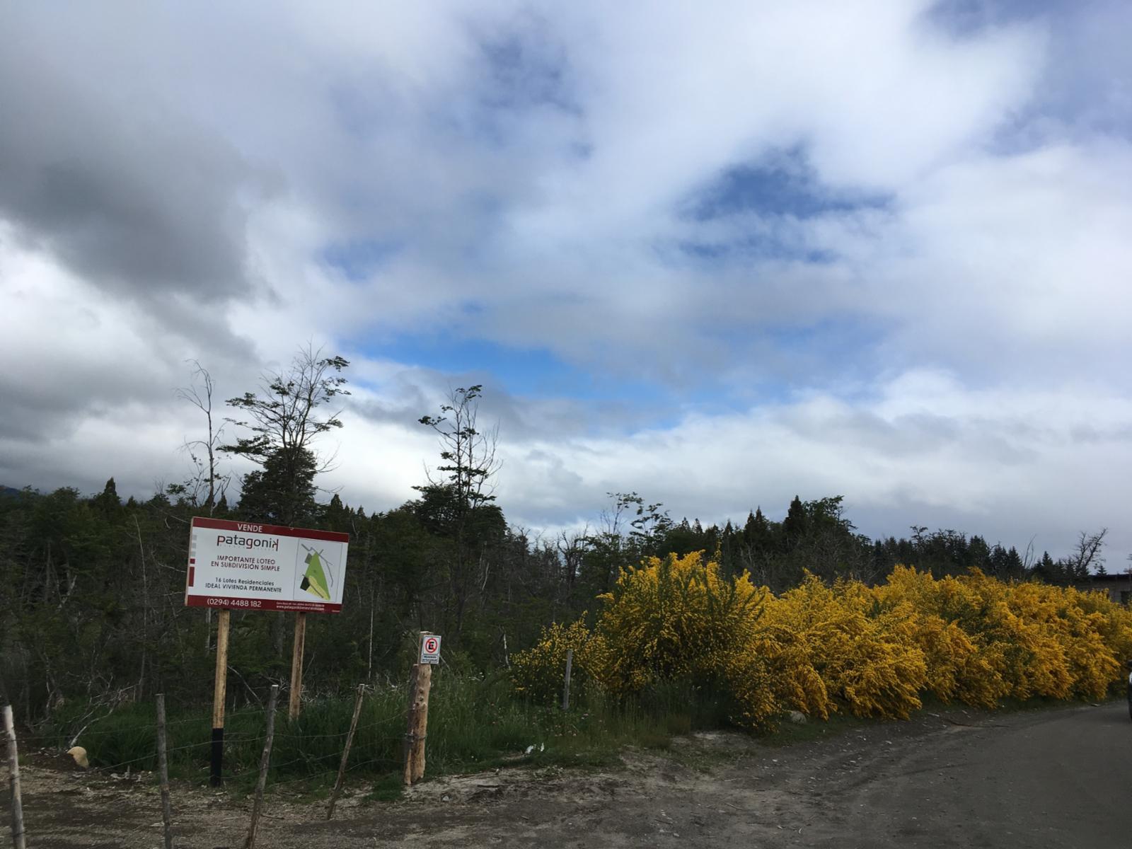 Lote en Tres Cerros Ruta 40 (Av. Siete Lagos) 796,68 m2 — foto 5