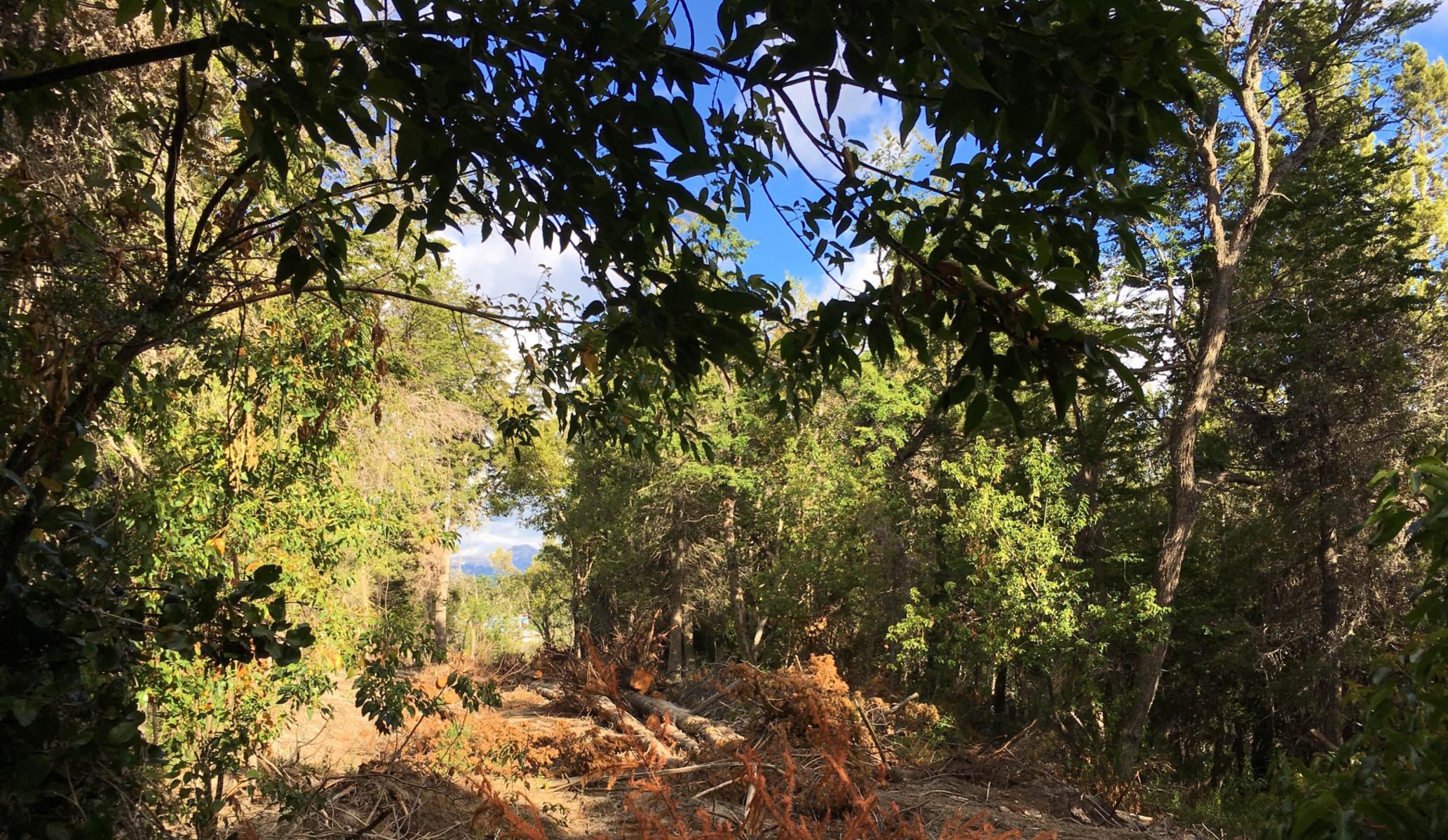 Lote en Tres Cerros Ruta 40 (Av. Siete Lagos) 956,43 m2 — foto 9