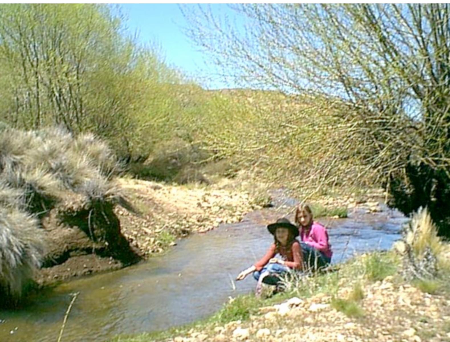 Lote Villa Llanquin 33 HaS - 3