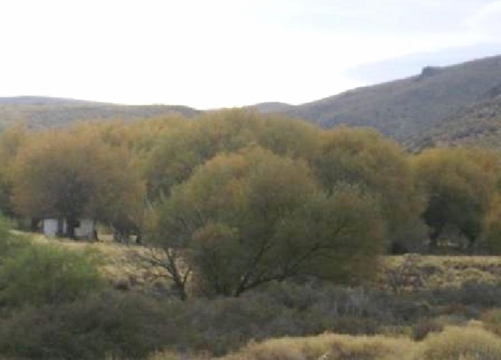 Lote Villa Llanquin 33 HaS - 6