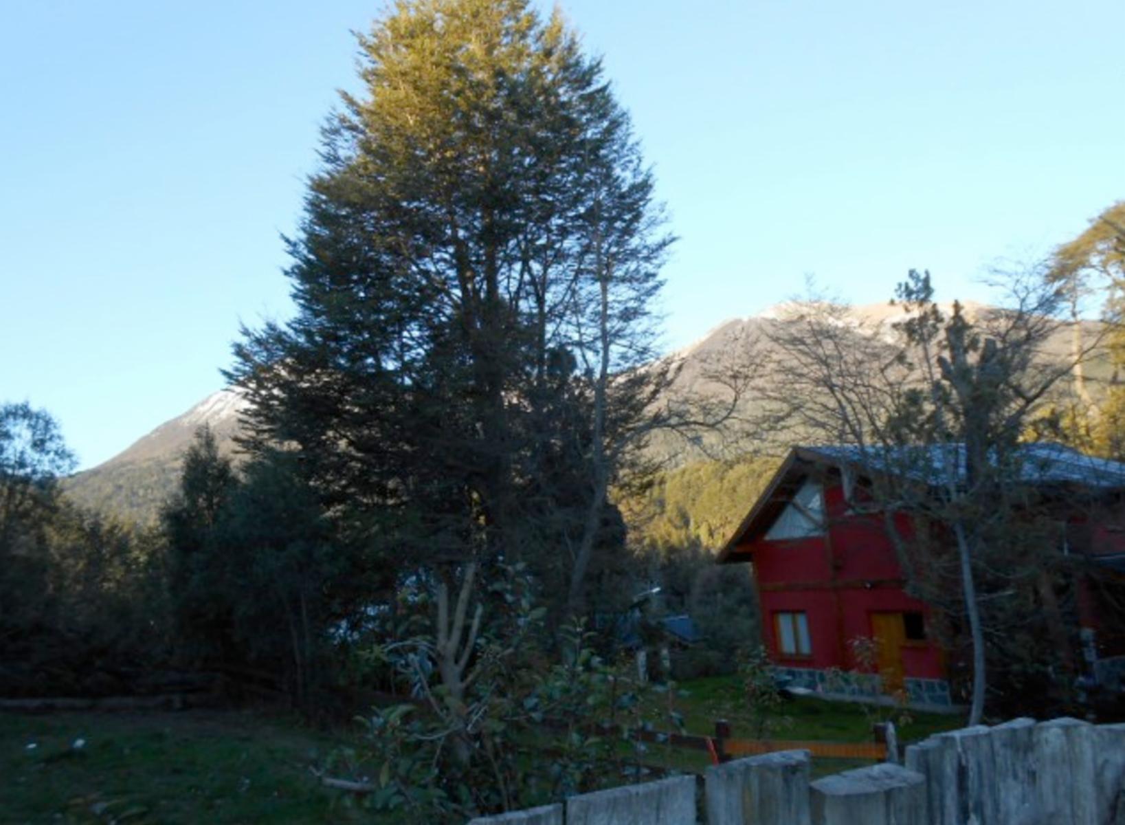 Casa Barrio Norte — foto 5