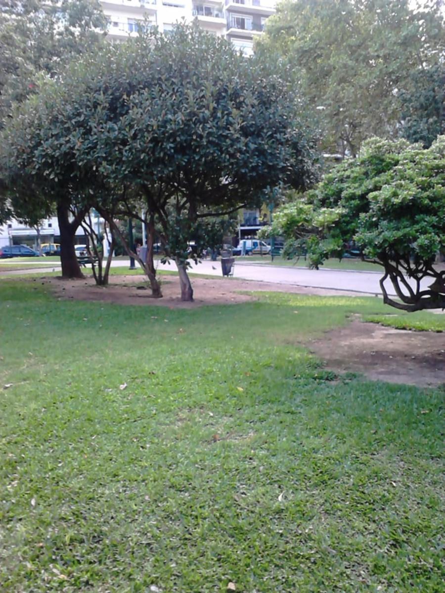 Alquiler Temporario Departamento 2 Amb. Juncal 1900 Recoleta Capital Federal U$S 1500 — foto 13
