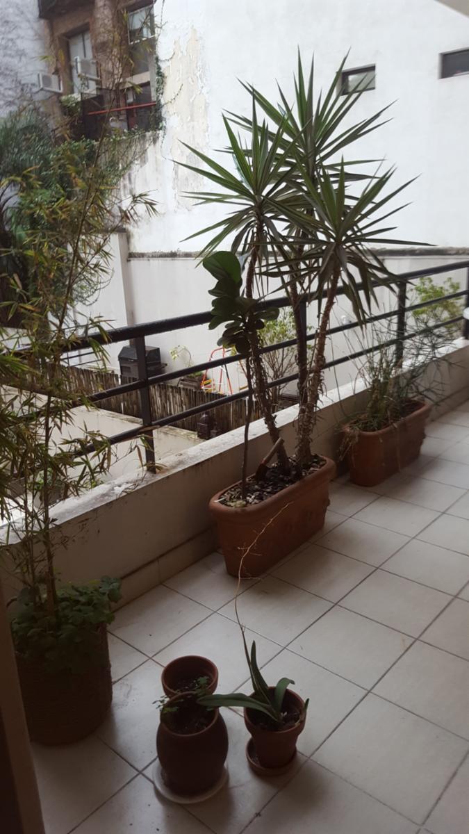 Alquiler Temporario 3 Ambientes Con cochera Godoy Cruz 2900 Palermo Capital Federal $ 24000 — foto 3