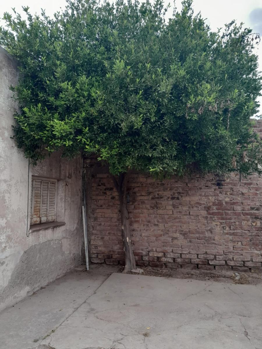 Buena inversión en pleno centro de Lamarque. Casa con salon comercial. — foto 15