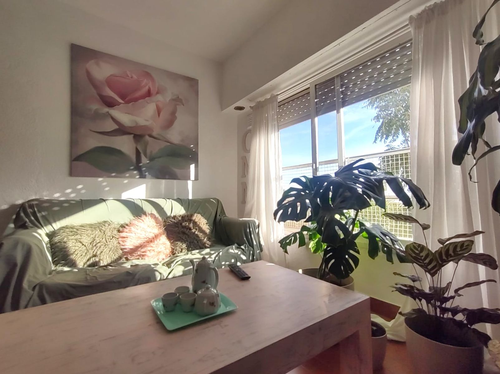 Departamento en Venta 2 ambientes Haedo Norte - 17
