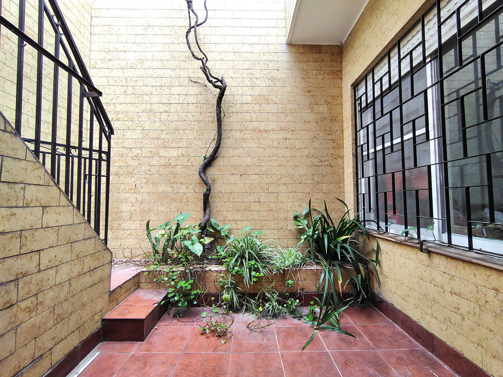 CASA en Venta 3 Ambientes Terraza Patio Garaje V. Luzuriaga - 25