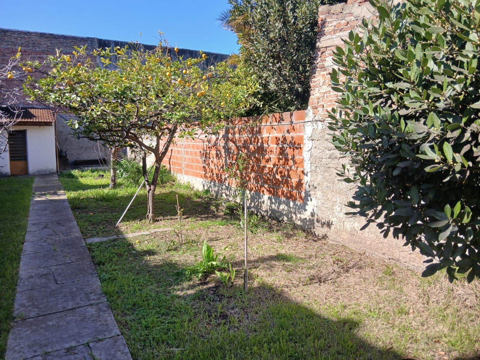 Casa en Venta Haedo 3 Amb. Lote 8,66x52 mts. Cochera - 5