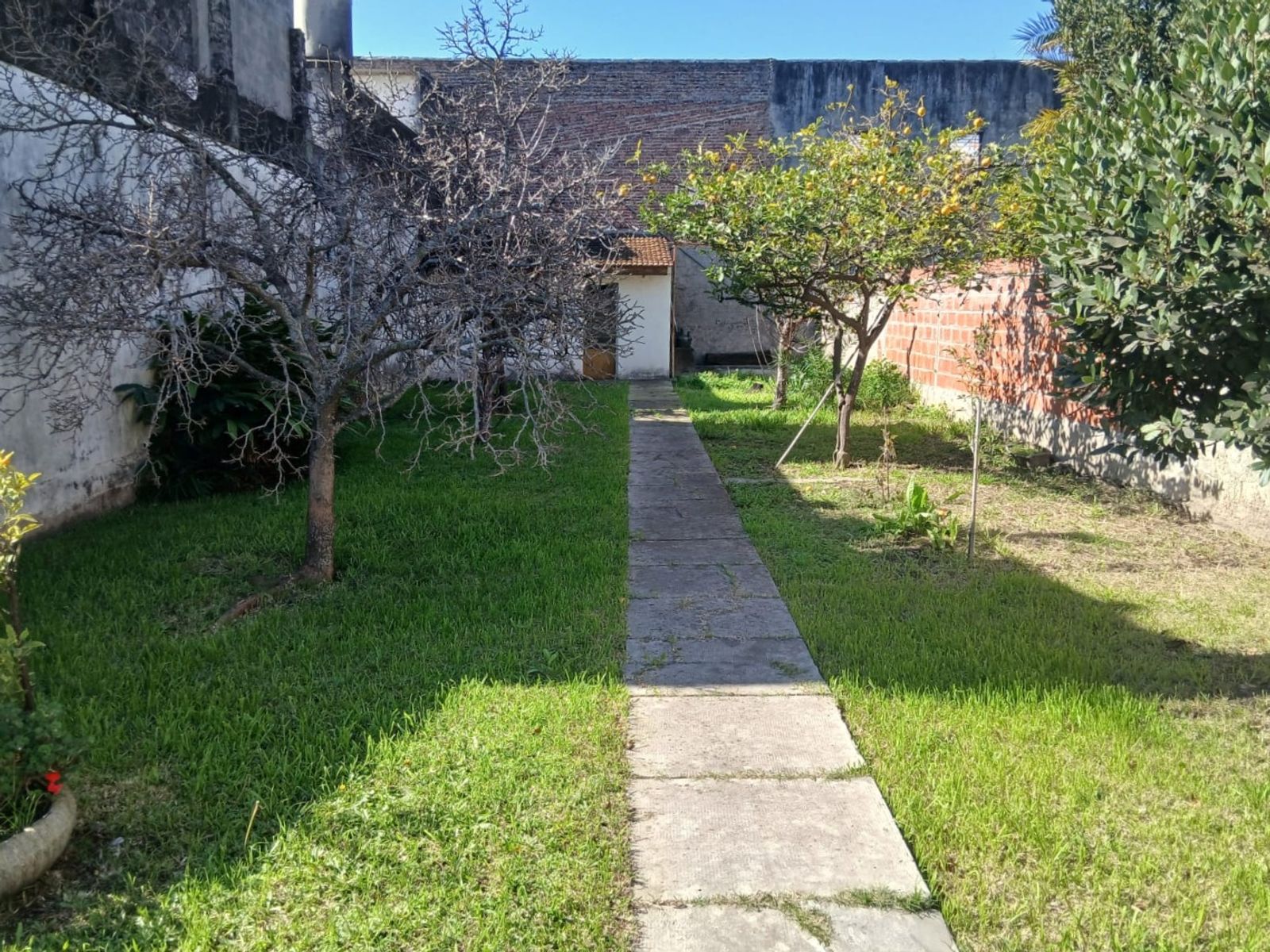 Casa en Venta Haedo 3 Amb. Lote 8,66x52 mts. Cochera - 7