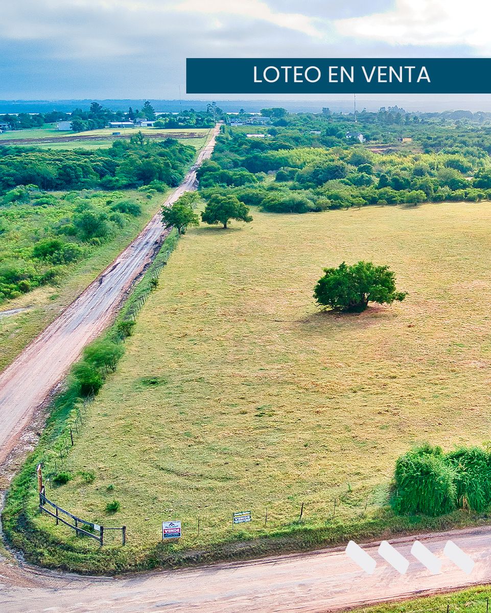 Loteo en el Ejido de la Ciudad