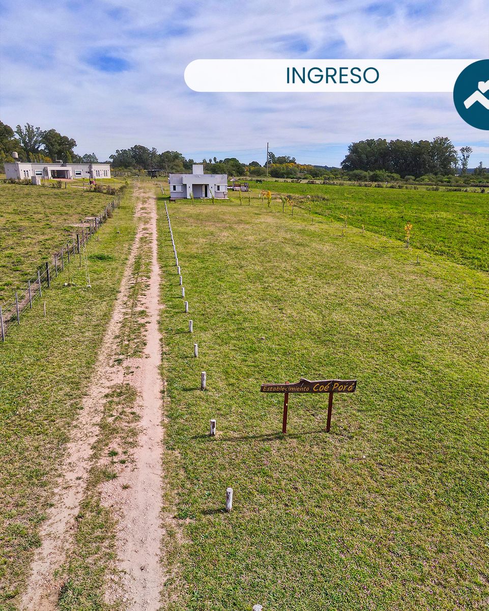 Fracción de campo en venta sobre colectora Ruta 14. 1 hectárea con casamoderna y gastos de escrituración incluidos — foto 4