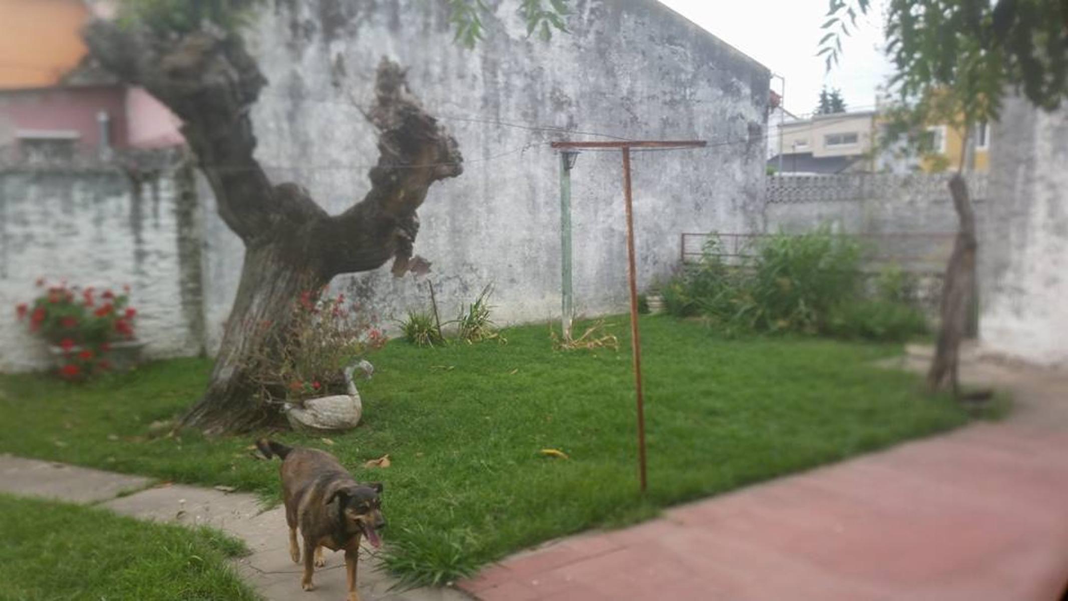 CASA AMERICANA.CUATRO AMBIENTES!!! — foto 7