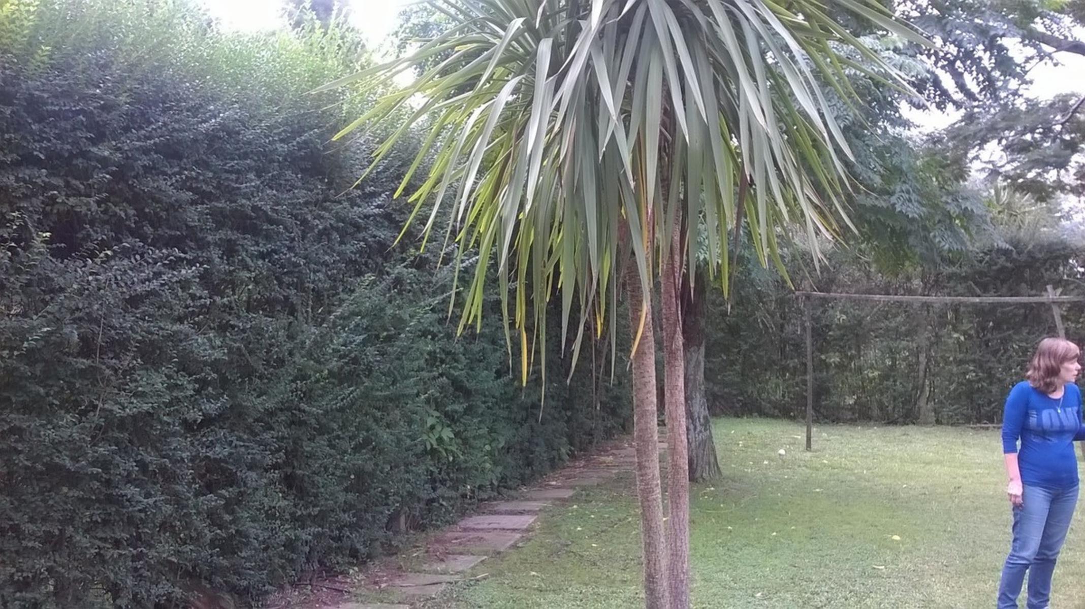 CASA TRES AMB.PARQUE PILETA.APTA CREDITO BANCARIO!!! LOTE 10X36M BOMBA SUMERGIBLE POZO ABSORVENTE GALPON — foto 11
