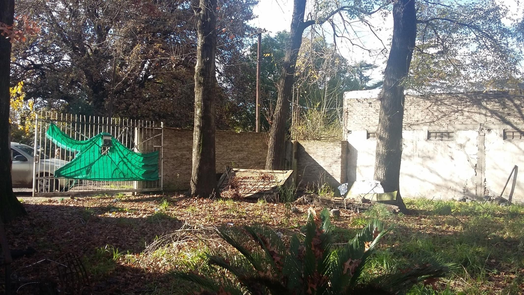 VENTA-LOTE 20X43M-CASA-LOCAL-Y CIMIENTOS PARA DOS DPTOS. - 6
