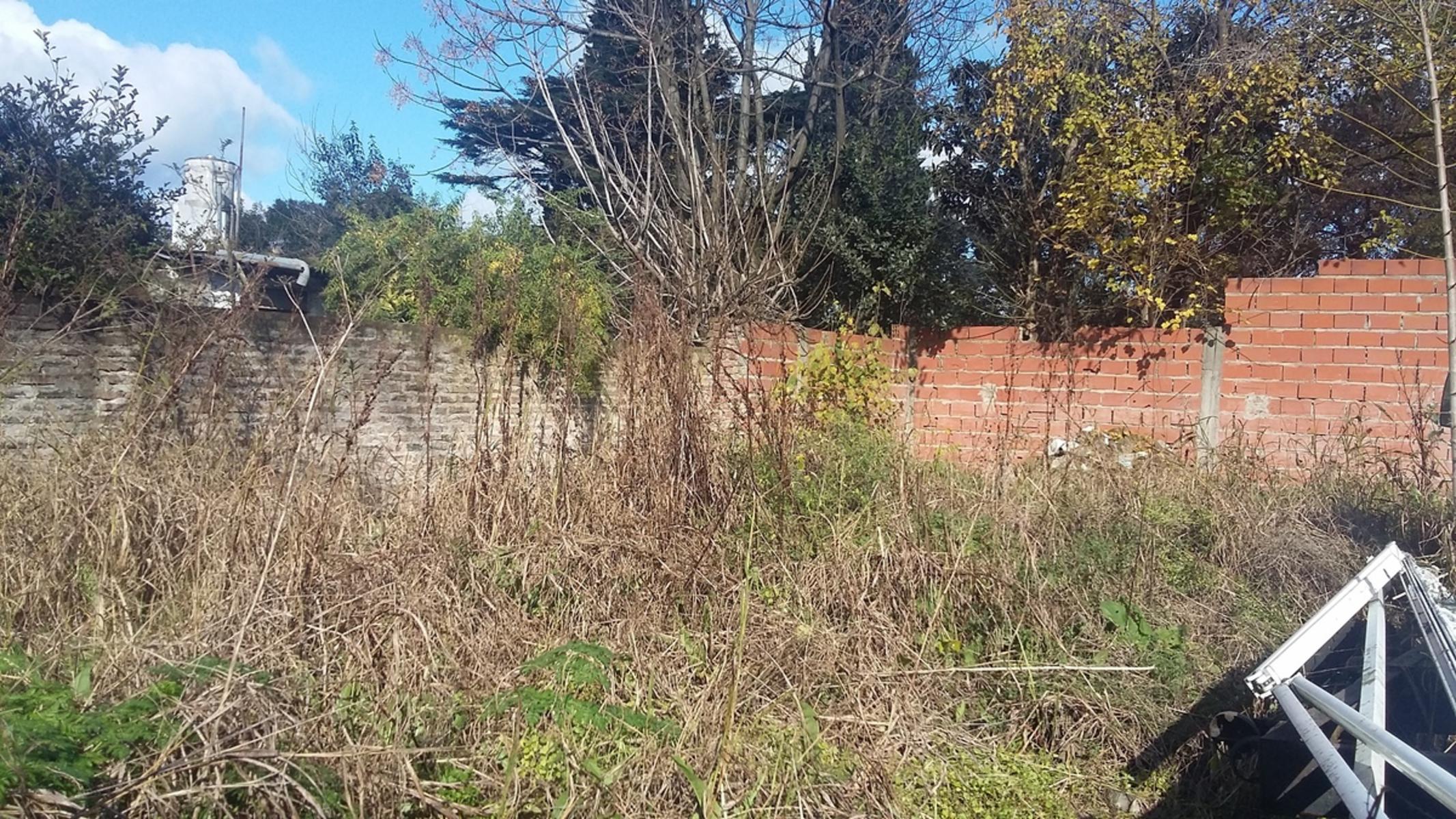VENTA-LOTE 20X43M-CASA-LOCAL-Y CIMIENTOS PARA DOS DPTOS. - 8