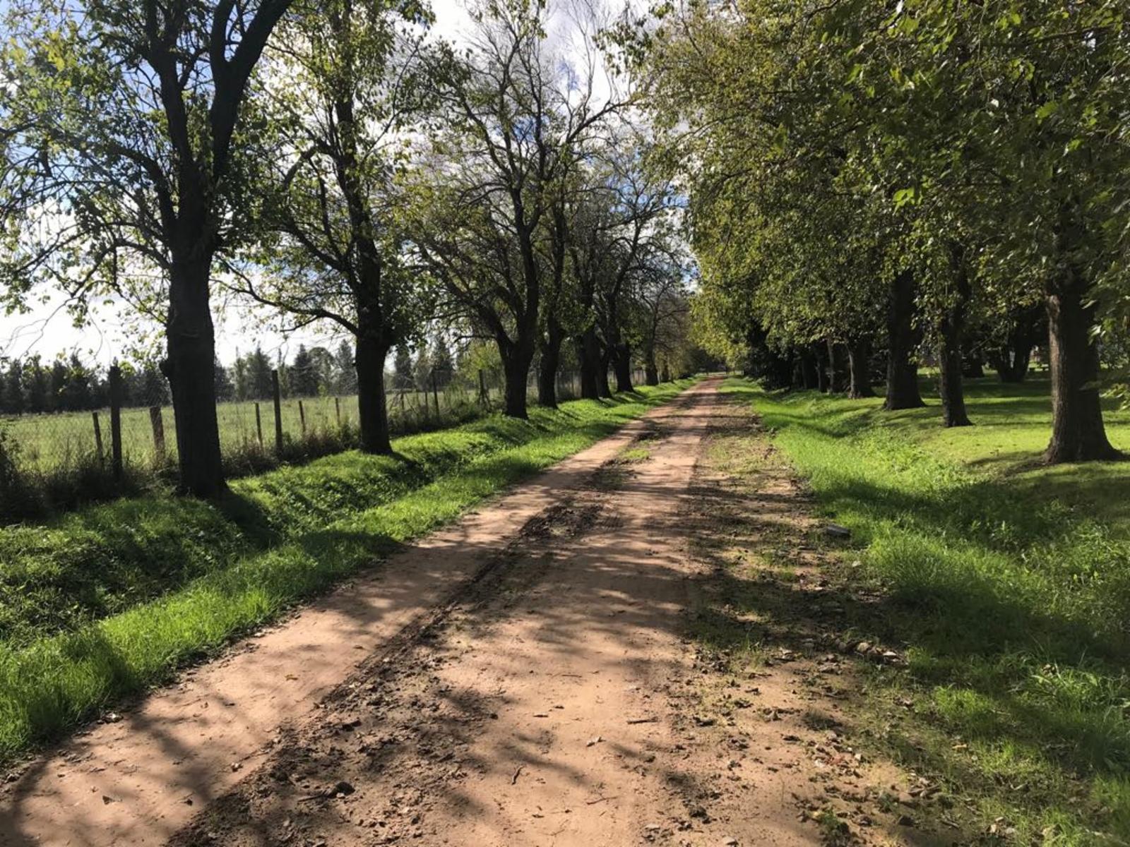 VENTA LOTE LOBOS COUNTRY — foto 2