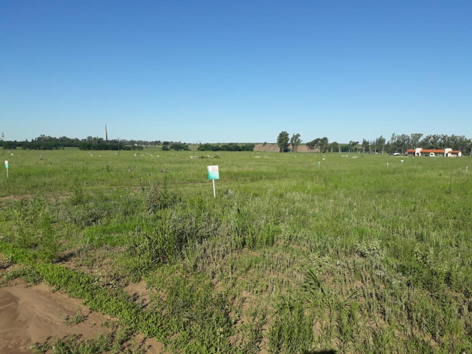 Lotes en Venta - Estancia Santa Lucia - Los Mejores Precios y Facilidades - Muy cerca de Córdoba, por autovía a Alta Gracia... Visítelo — foto 8