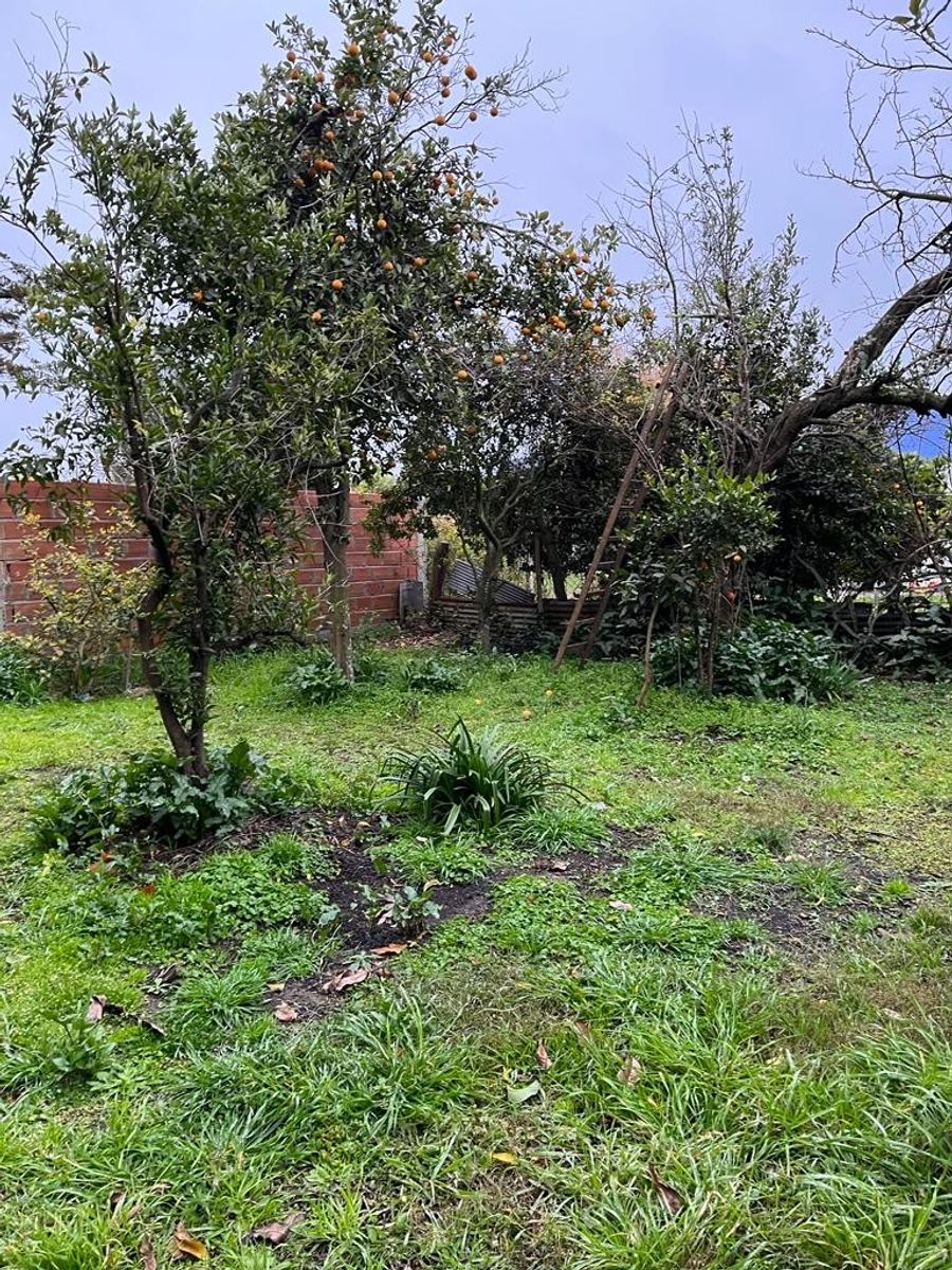 Vendo Terreno de 743 m2 en Caseros, Entre Ríos — foto 4