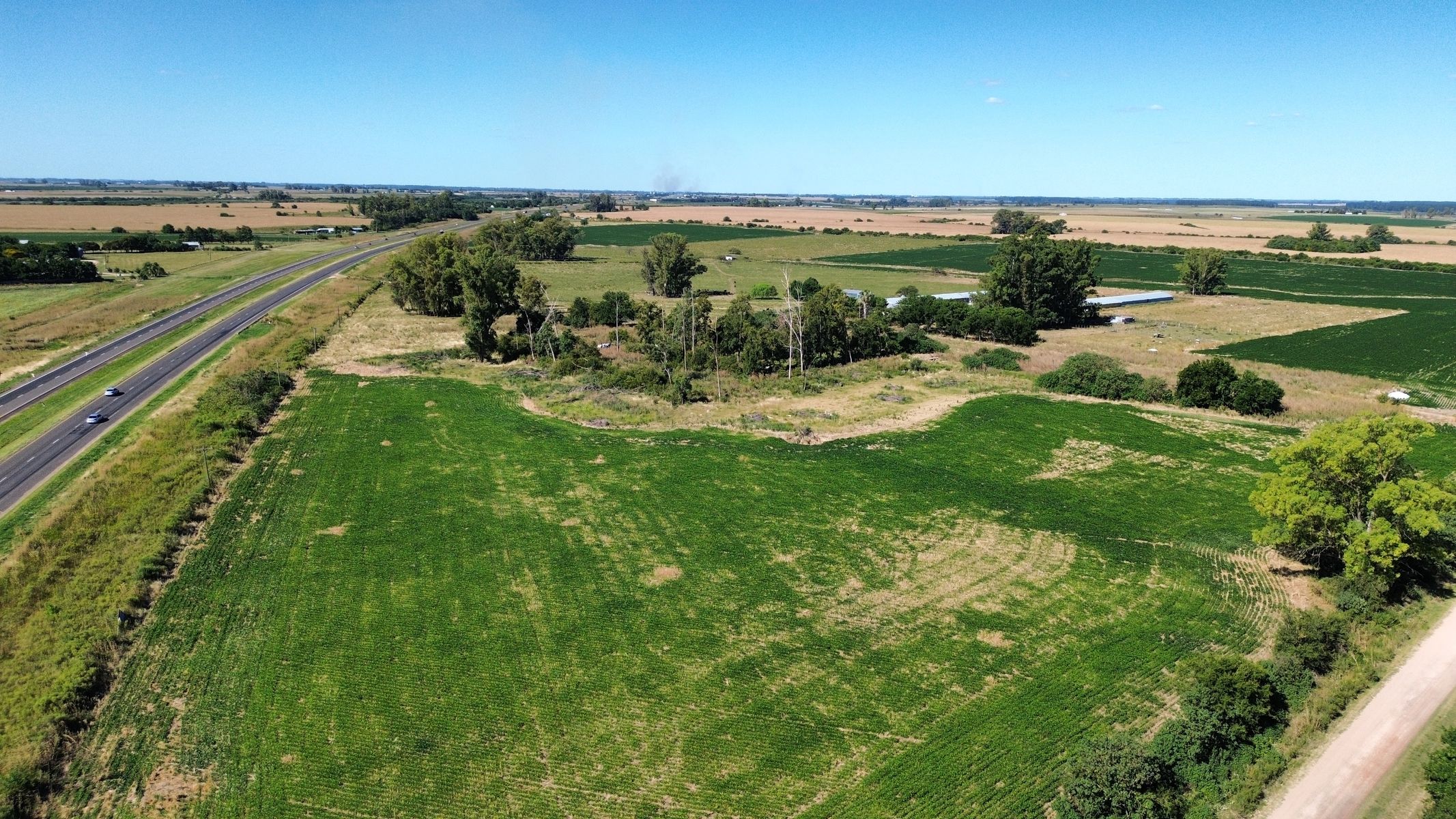 Vendo Campo 24 Has en Ruta 14 Concepción del Uruguay Entre Ríos - 1